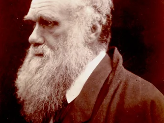 Portrait of Charles Darwin, 1859